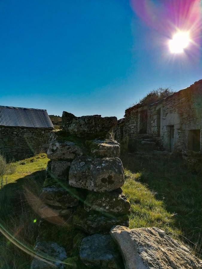 Casa Largo S Lourenco E Casa Da Videira Mazes Dış mekan fotoğraf
