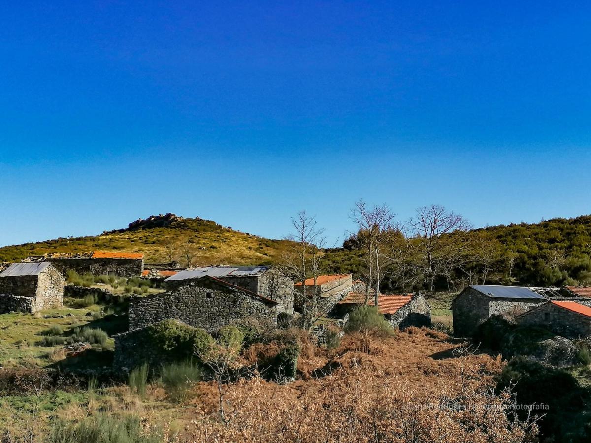Casa Largo S Lourenco E Casa Da Videira Mazes Dış mekan fotoğraf