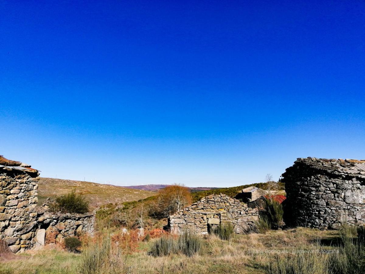Casa Largo S Lourenco E Casa Da Videira Mazes Dış mekan fotoğraf