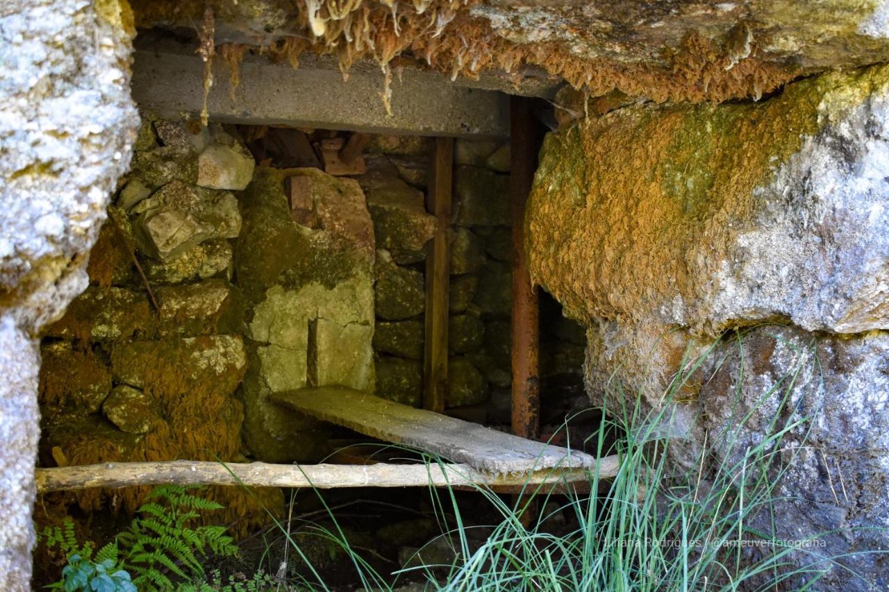 Casa Largo S Lourenco E Casa Da Videira Mazes Dış mekan fotoğraf