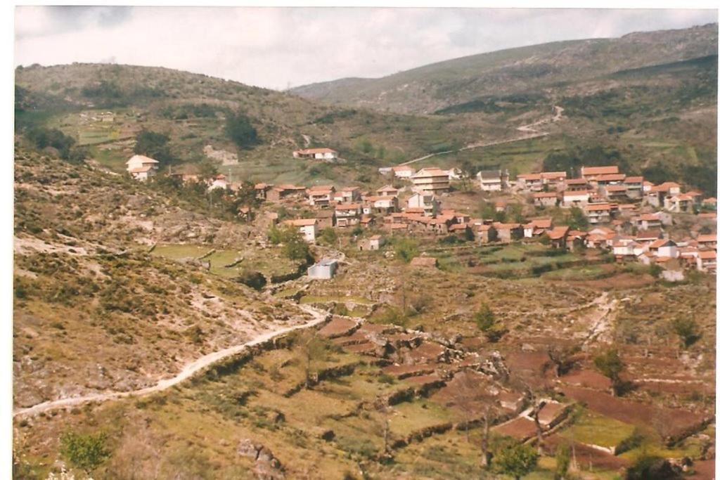 Casa Largo S Lourenco E Casa Da Videira Mazes Dış mekan fotoğraf